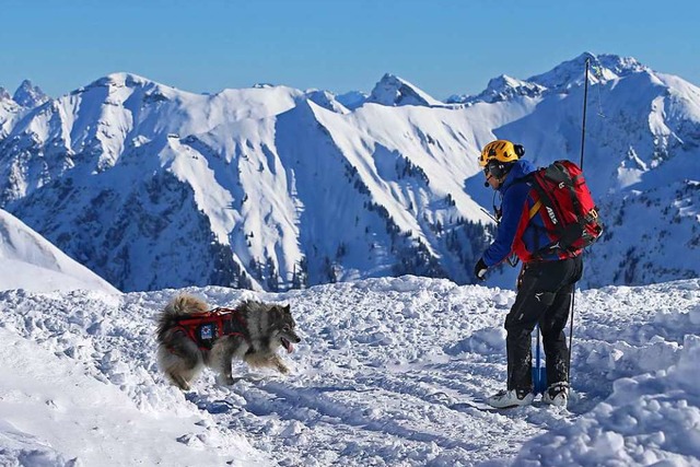 Ein Lawinenhund und sein Fhrer suchen... die vorher im Schnee vergraben wurde.  | Foto: dpa