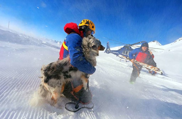 Der junge Lawinenhund Kalle und sein H...nd der Rotoren mit Schnee eingestubt.  | Foto: dpa