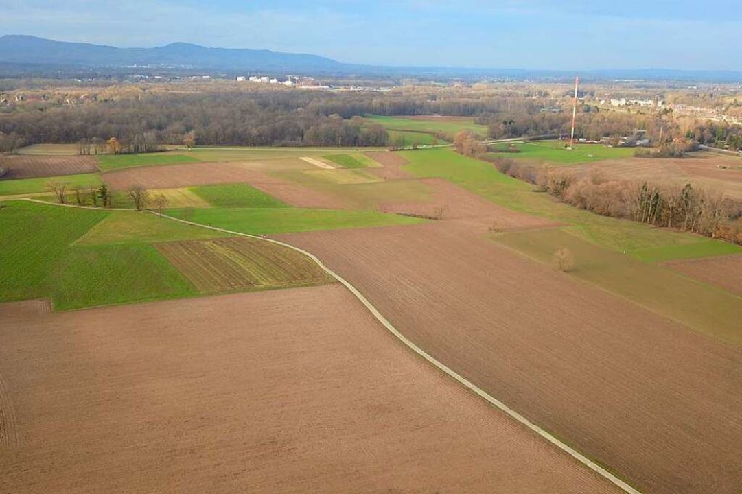 Blick ber das Dietenbachgelnde nach Westen (Archivbild).  | Foto: Michael Saurer