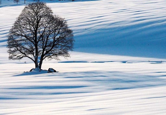 Schneebedeckter Kandel.  | Foto: Gaby Flad