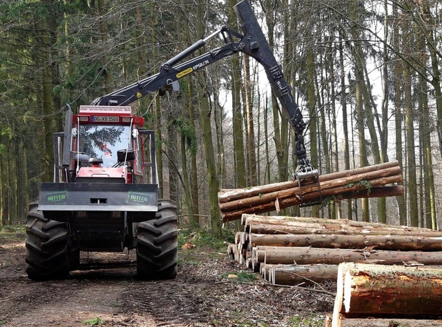 Der Wald hat neben seiner wirtschaftli...ung suchen oder Sport treiben wollen.   | Foto: Reiner Beschorner