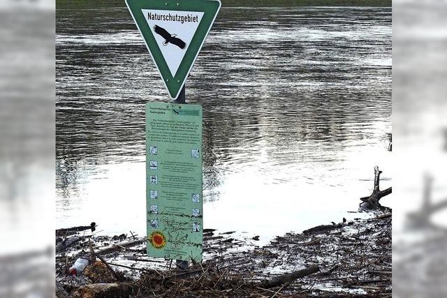 Limnologen reichen bei EU-Kommission in Brssel Beschwerde ein