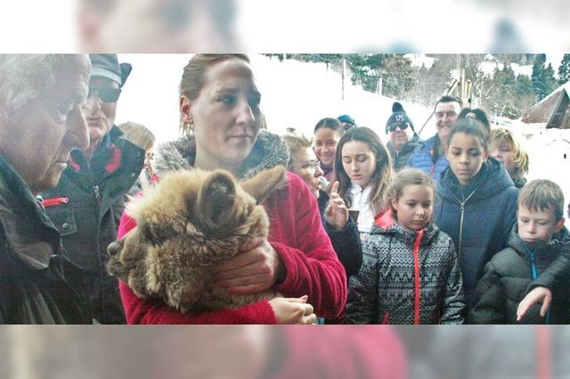 Schnee begeistert Besucher