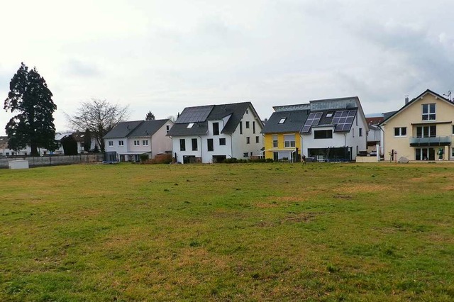 Die Grnflche beim Neuershauser Bauge...nks und im Hintergrund  Wildobstbume.  | Foto: Bachmann-Goronzy