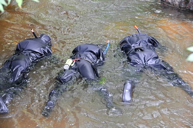 Trotz intensiver Suche der Polizei nac...illimeter, ist bis heute verschwunden.  | Foto: Helmut Seller