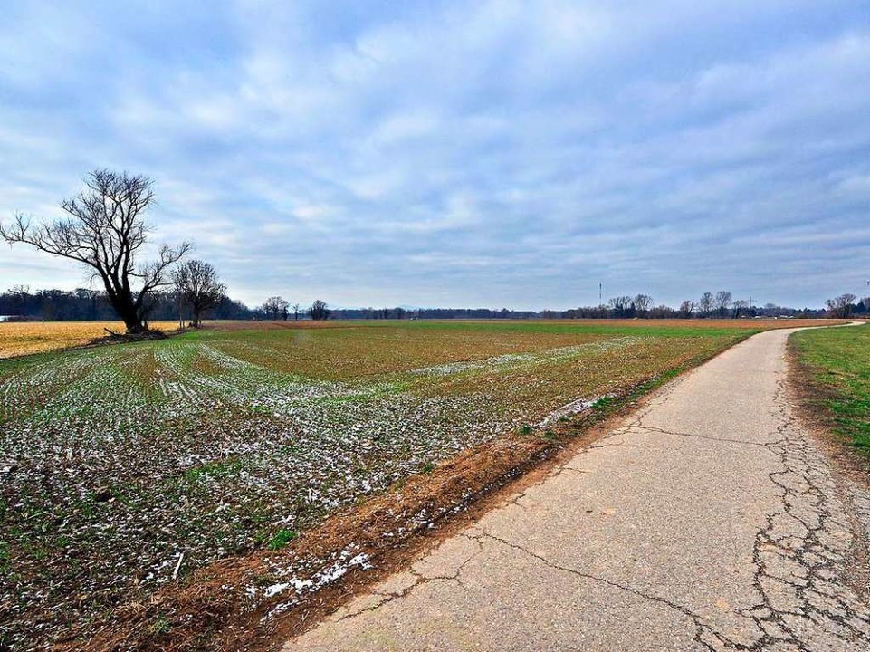 Die Flchen, auf denen Dietenbach geba...den bisher landwirtschaftlich genutzt.  | Foto: Michael Bamberger