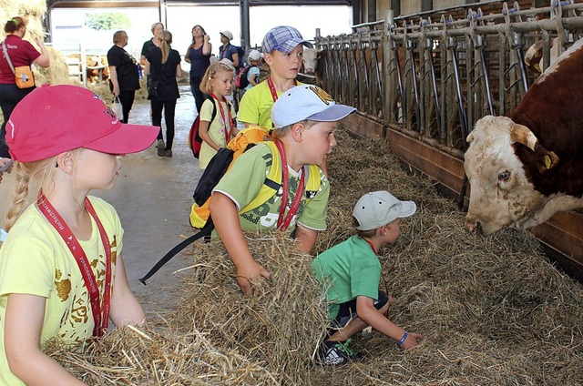 Auch ein Besuch auf dem Bauernhof ist im Betreuungsprogramm vorgesehen.   | Foto: Touristinfo Lffingen