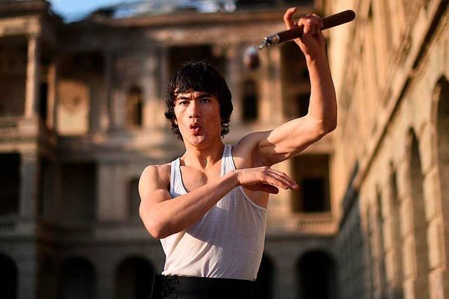 Kickbox-Marxisten sicher: Auch Bruce Lee htte gegen Dietenbach gestimmt