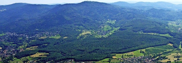 Der Mllheimer Eichwald wird die Stadt...chriften fr seinen Erhalt gesammelt.   | Foto:  Stadt Mllheim