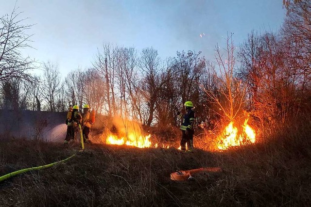 Die Emmendinger Feuerwehr war mit 16 Einsatzkrften vor Ort  | Foto: Feuerwehr Emmendingen