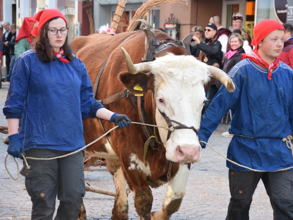 Groer Umzug, Brauchtumsabend und Maskenschau: Bad Sckingen stand am Wochenende ganz im Zeichen der Fasnacht.