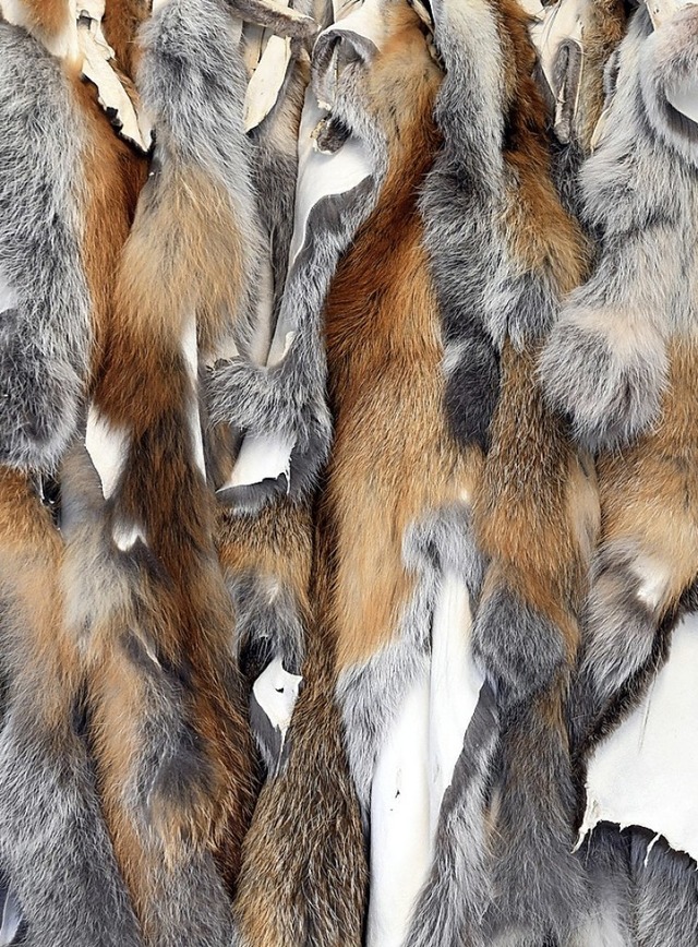 Verbraucher kaufen gerne Felle, die aus der Jagd stammen.   | Foto: dpa