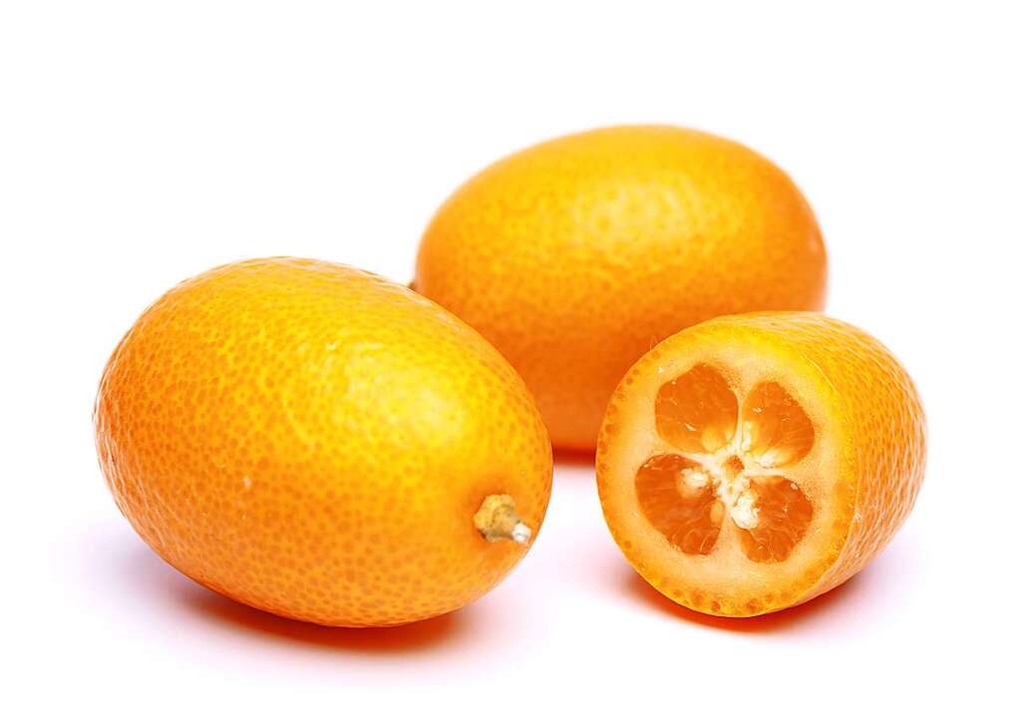 Köstliche Zierpflanze die Kumquat Gesundheit & Ernährung Badische