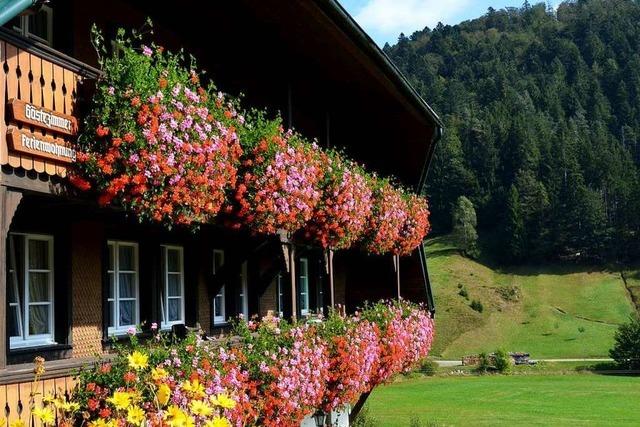 Projekt Dorfurlaub soll Urlauber nach Rickenbach und Herrischried locken