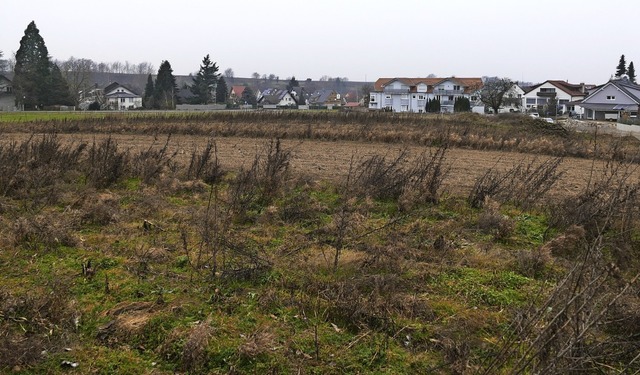 Die Erschlieung des Baugebietes Holzw...n Ballrechten-Dottingen veranschlagt.   | Foto: Benedikt Hecht