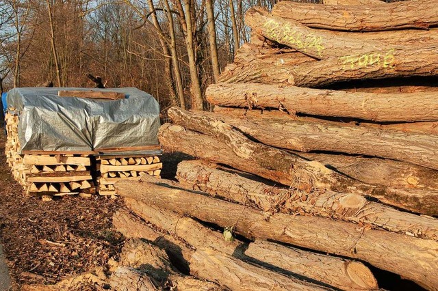 Zur  knftigen Vermarktung von  Holz a...und Privatwald sind Kunstkniffe ntig.  | Foto: Langelott