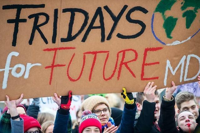 Parlament von Basel ruft nach Schüler-Protesten den Klimanotstand aus