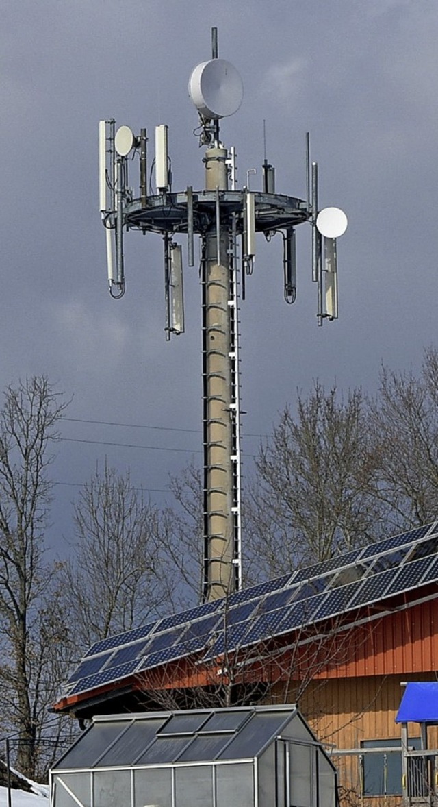 Dieser Funkmast bei Brunnadern soll ersetzt werden.   | Foto: Pichler