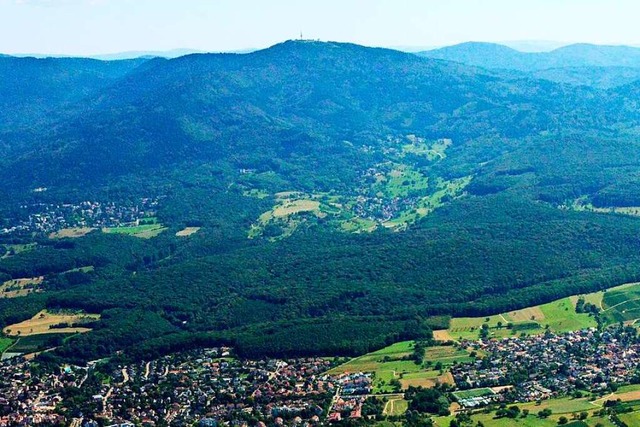 Wird die Rolle des Eichwalds als Naher...seit Wochen die Meinungen auseinander.  | Foto: Stadt Mllheim