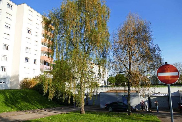 Das Quartier am nrdlichen Stadtrand wird sich stark verndern.  | Foto: Ingrid Bhm-Jacob