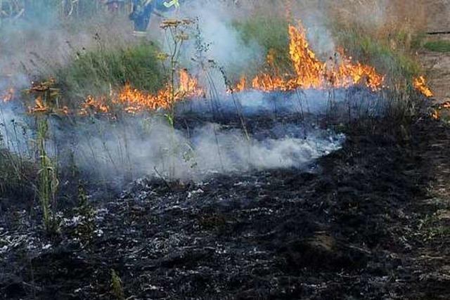 Wiese bei Minseln gert in Brand – Polizei geht von Brandstiftung aus