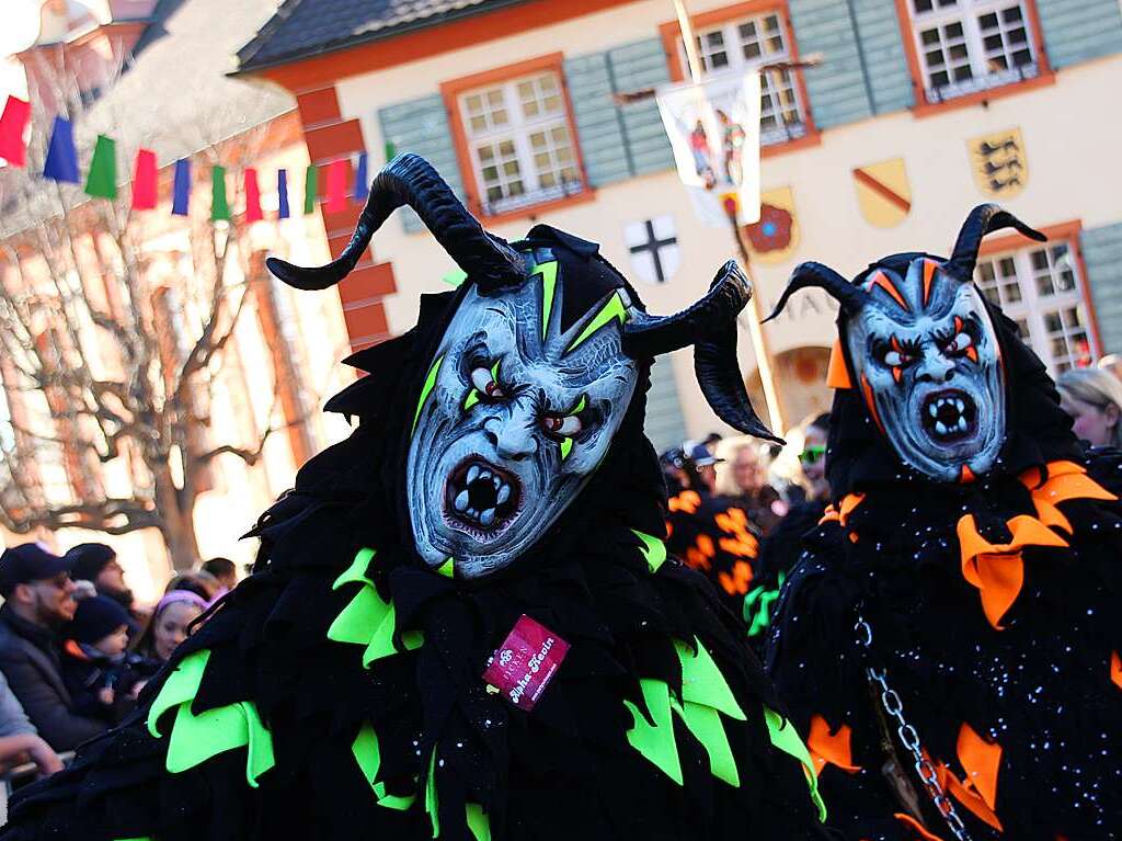 Impressionen vom Jubilumsumzug der Zwulcher Narrenzunft in Merdingen