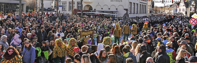 So viele Narren und Zuschauer hat man ...ten Erlebnis fr Alt und Jung  werden.  | Foto: SEDLAK