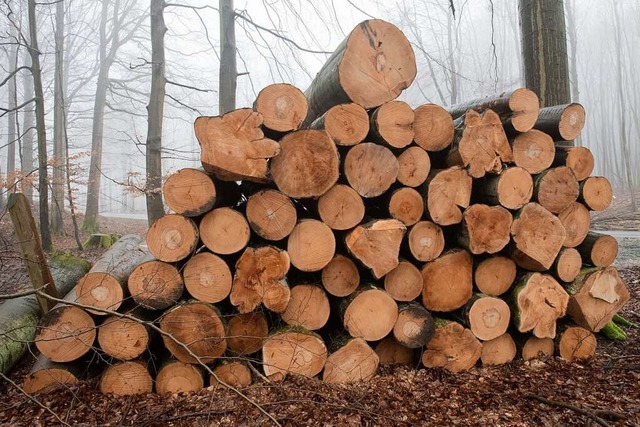 Holz aus dem Wald wird fr vielerlei Dinge genutzt, zum Beispiel fr Mbel.  | Foto: dpa