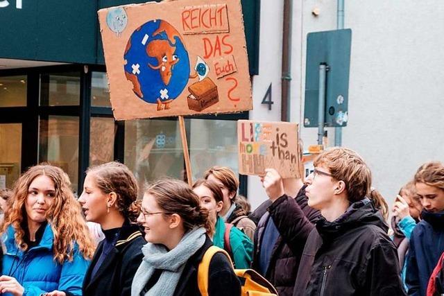 So reagieren die Schulen in Lörrach auf den Klima-Streik
