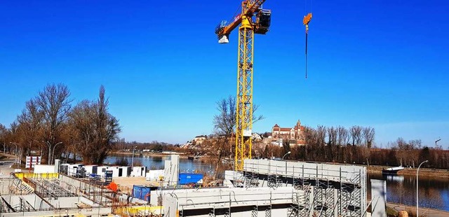 Im Herbst 2020 soll das deutsch-franz...0; auf der Rheininsel erffnet werden.  | Foto: Julius Wilhelm Steckmeister