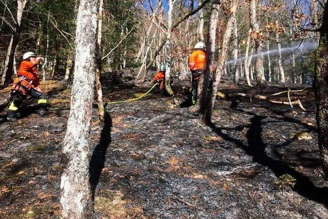 Vegetationsbrand in Simonswald sorgt für Großeinsatz der Feuerwehr