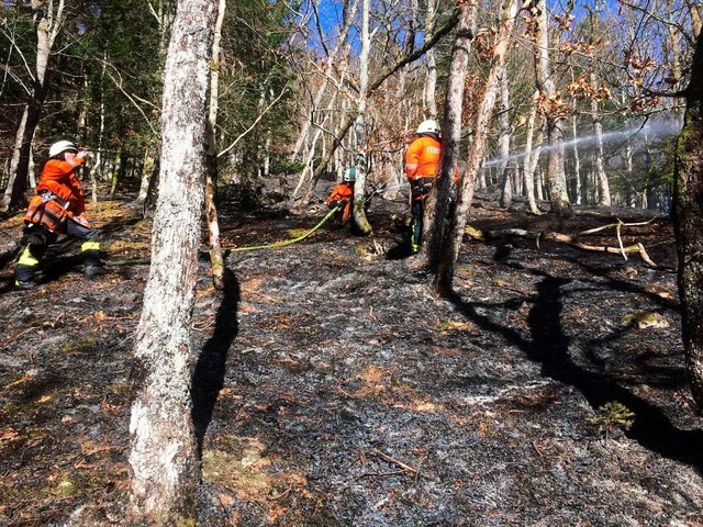 Vegetationsbrand im Nonnenbach  | Foto: FFW