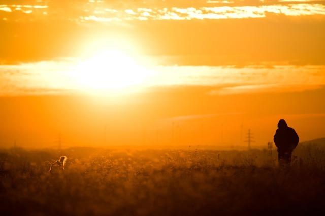 Der Winter war zu warm und zu sonnig