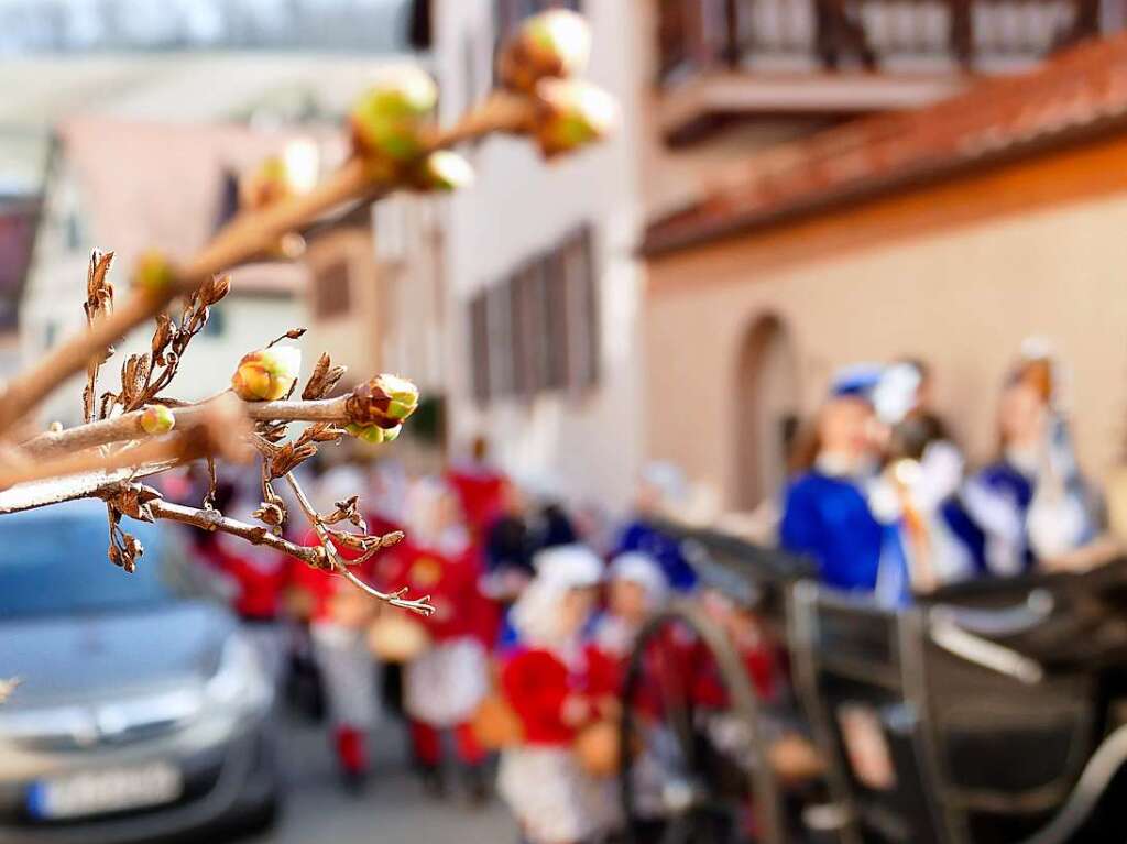 Wie immer originell bernahmen die Narren die Macht in Staufen. Bei Umzug und Rathaussturm haben sie klar gemacht, wer bis Aschermittwoch das Sagen hat.