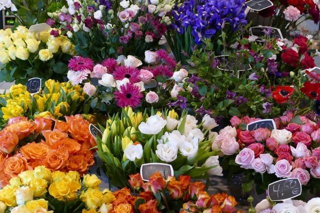 Vom Krnzebinden bis zur Botanik – ein Besuch im Blumenfachgeschft