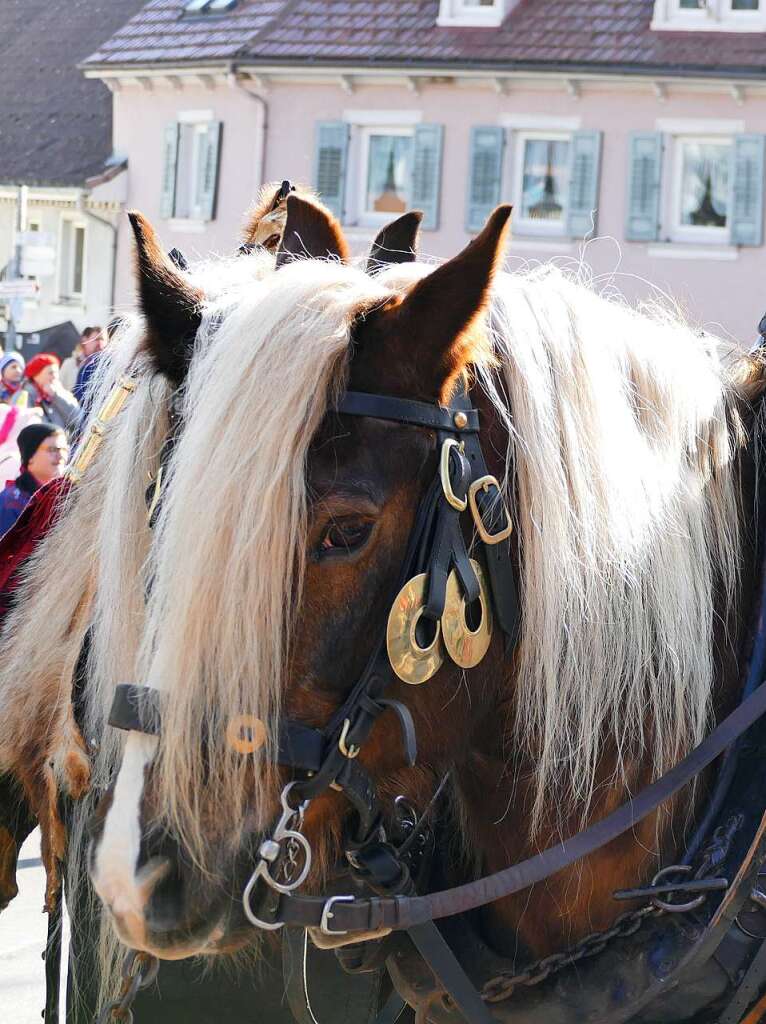 Die Narren regieren ab sofort in der Pflumeschluckerstadt Bonndorf.