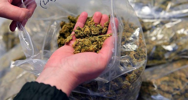 Ein Beamter hlt Marihuana in der Hand...a ge- und verkauft haben (Symbolbild).  | Foto: dpa