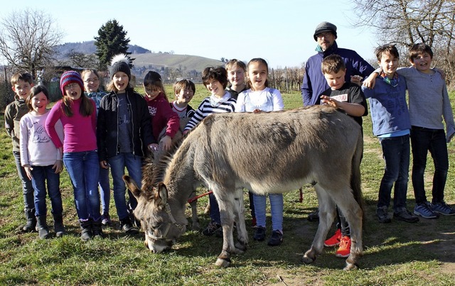Oliver Haury und seine Esel haben die ...us der Klasse A4  in Staufen besucht.   | Foto: Christiane Schmidt