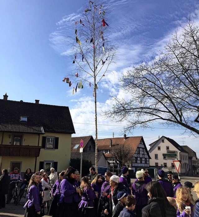 Der erste Mundinger Narrenbaum steht.   | Foto: Privat