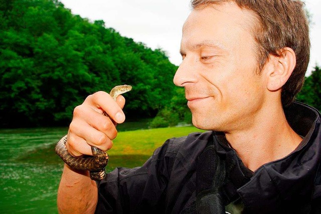 Sebastian Lotzkat mit einer Wrfelnatter  | Foto: ghph