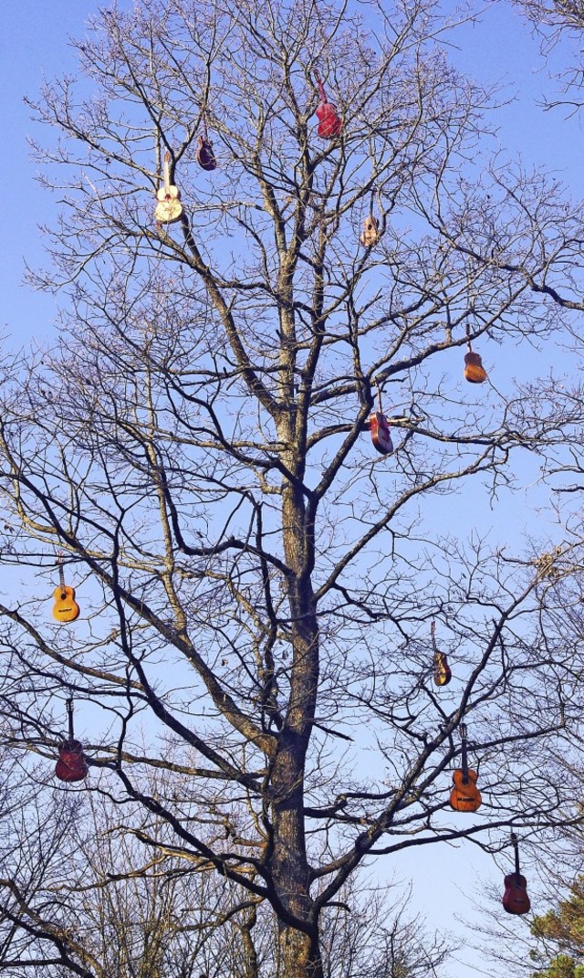 Baum mit Gitarren im Sternwald  | Foto: Jens Kitzler