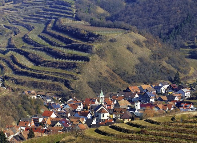   | Foto: Margit Anhut, Freiburg