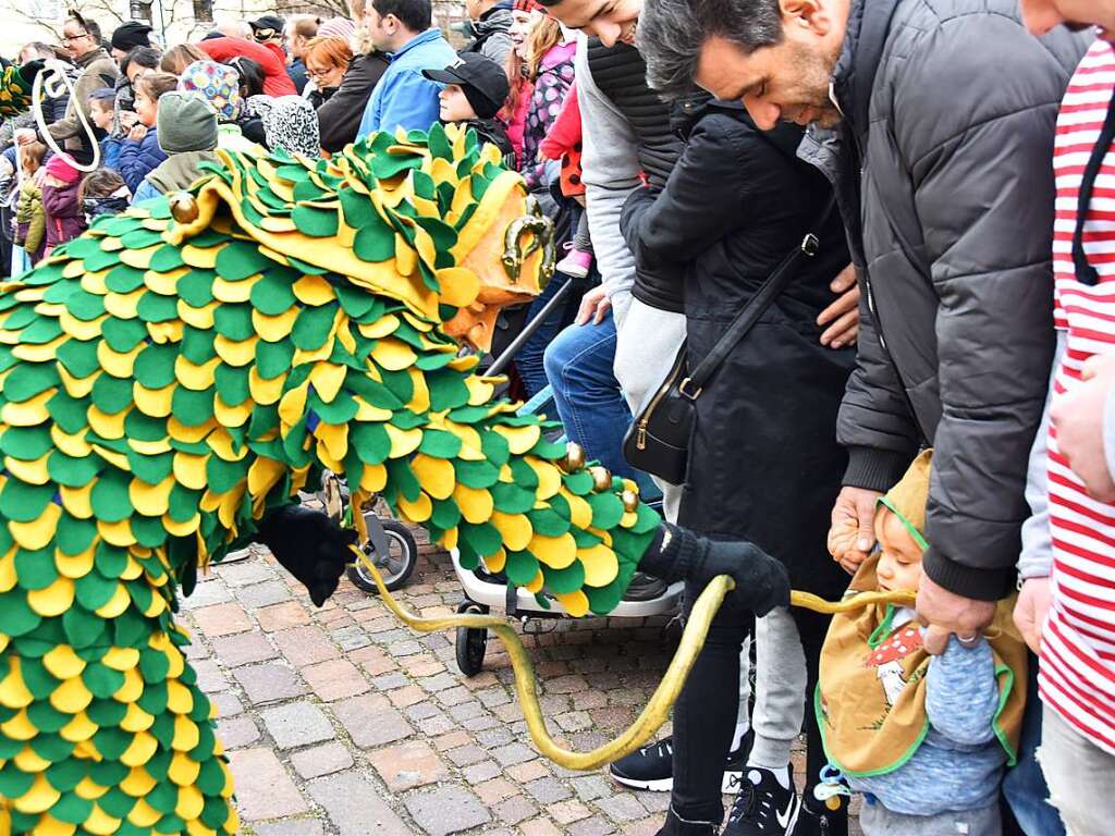 Ein bunter Gaudiwurm bewegte sich am Fasnetsonntag durch Kirchzarten