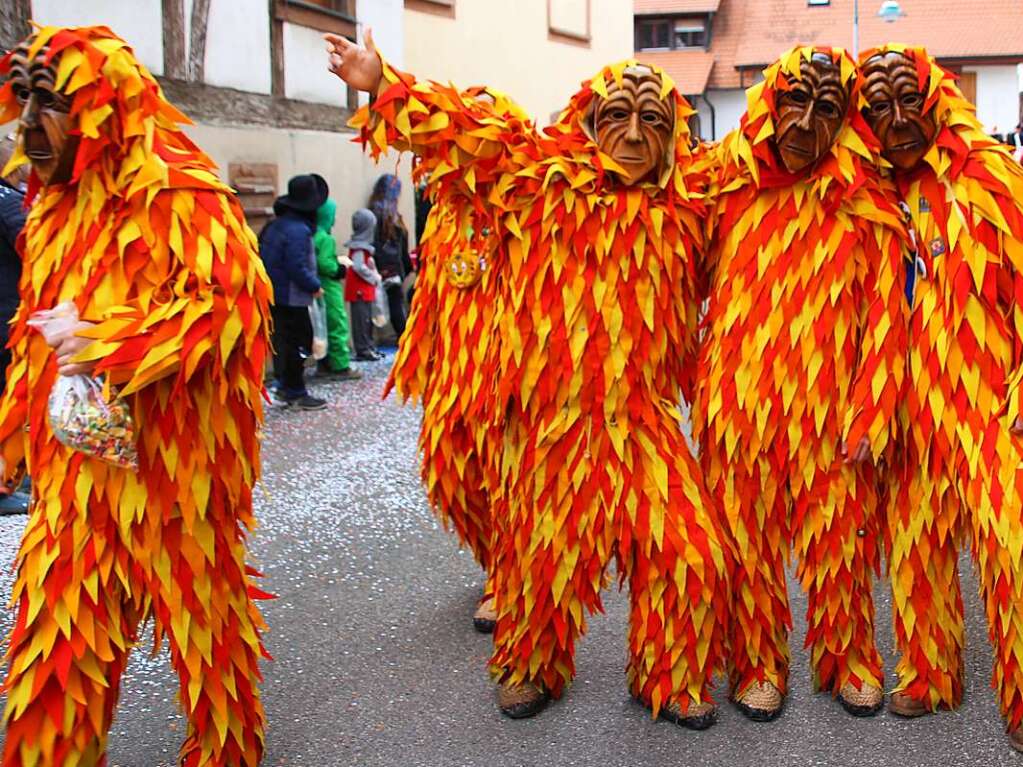 Impressionen vom Isteiner Fasnachtsumzug