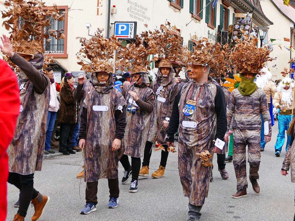 Impressionen vom Zeller Fasnachtsumzug