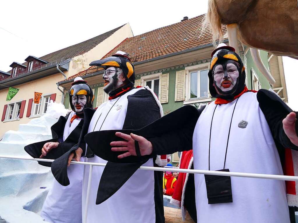 Impressionen vom Zeller Fasnachtsumzug