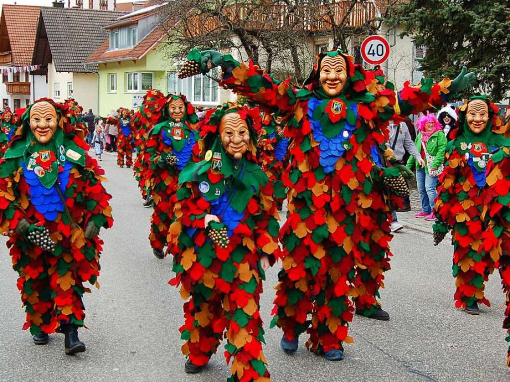 Die Glottertler Triibl im 50. Jubilumsjahr