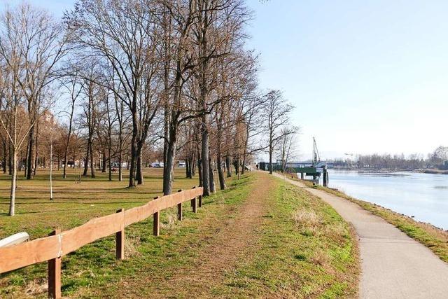 Das neue Quartier am Rhein bietet Breisach glnzende Perspektiven