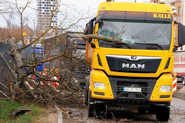 In Stuttgart strzte ein Baum auf einen Lastwagen.  | Foto: dpa