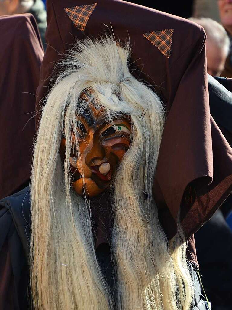 Impressionen vom Rosenmontagsumzug in Ehrenkirchen